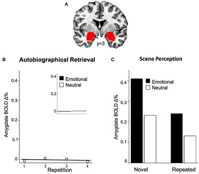 Emotional Memory and Amygdala Activation